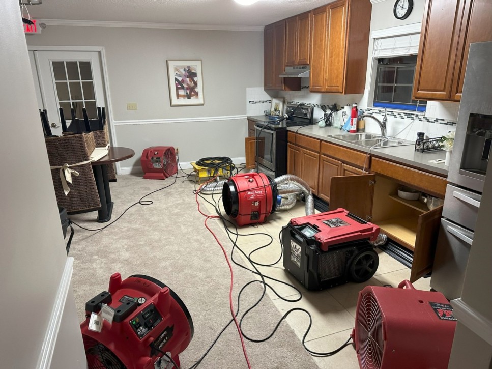 3 Reasons Mold Problems Increase During Summer in Quitman Homes